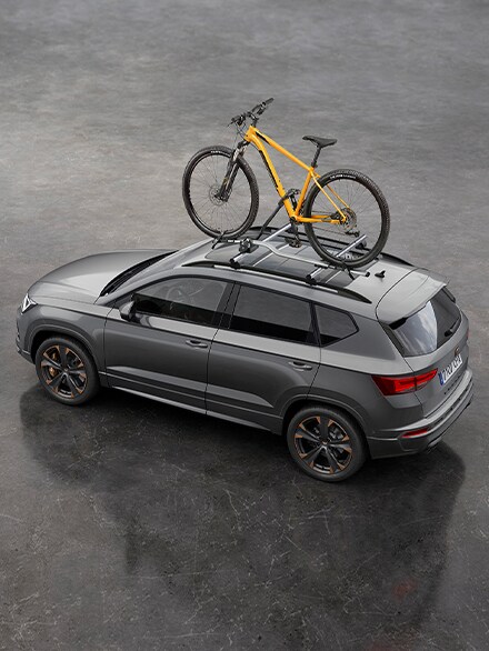 Specially created bike roof rack.